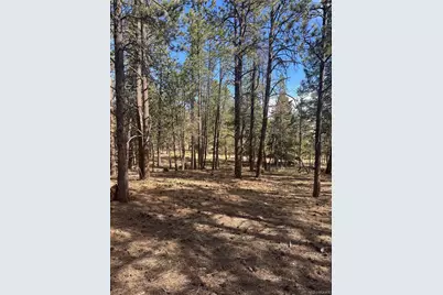 642 Matterhorn Drive, Florissant, CO 80816 - Photo 5