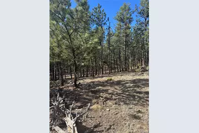 642 Matterhorn Drive, Florissant, CO 80816 - Photo 1