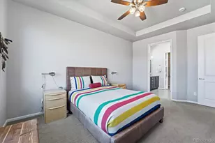 3617 New Haven Cir, Castle Rock, CO 80109 - Photo 25