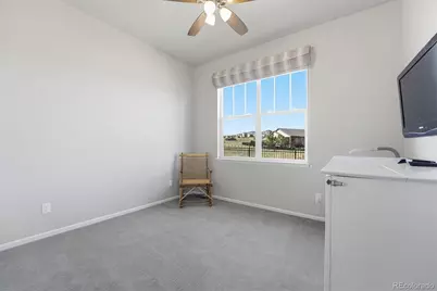 3617 New Haven Circle, Castle Rock, CO 80109 - Photo 31