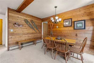 166 Argentine Ct, Dillon, CO 80435 - Photo 19