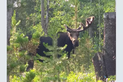 1279 American Way, Breckenridge, CO 80424 - Photo 33
