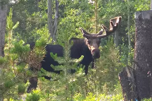 1279 American Way, Breckenridge, CO 80424 - Photo 33