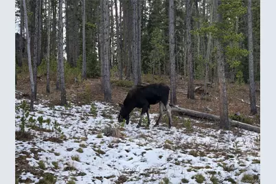 1279 American Way, Breckenridge, CO 80424 - Photo 35