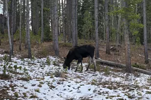 1279 American Way, Breckenridge, CO 80424 - Photo 35