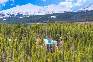 96 Tin Cup Cir, Breckenridge, CO 80424 - Photo 49