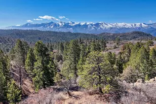 268 Basin Dr, Cotopaxi, CO 81223 - Photo 1