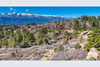 268 Basin Drive, Cotopaxi, CO 81223 - Photo 13