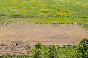 9250 Steeplechase Dr, Franktown, CO 80116 - Photo 43