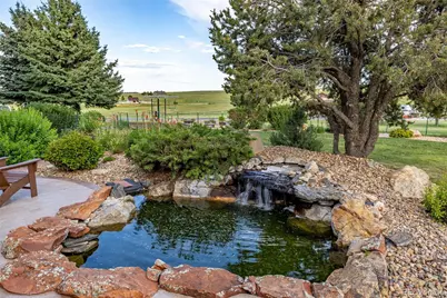 9250 Steeplechase Drive, Franktown, CO 80116 - Photo 19