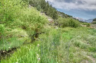 11398 Co Rd 302, Buena Vista, CO 81211 - Photo 11