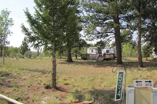 594 Lantern Loop, Hartsel, CO 80449 - Photo 1