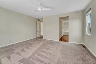 4121 River Oaks St, Castle Rock, CO 80104 - Photo 19
