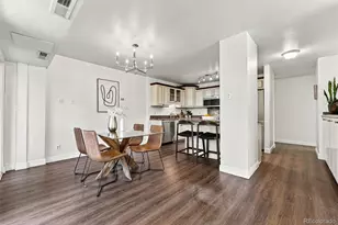 1223 Race St, Denver, CO 80206 - Photo 15