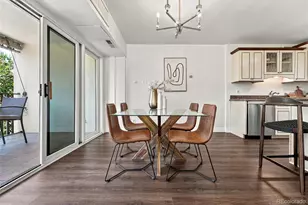 1223 Race St, Denver, CO 80206 - Photo 17