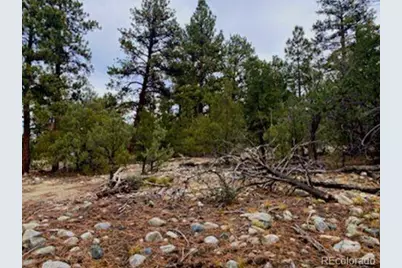 Costilla Place, Mosca, CO 81146 - Photo 7