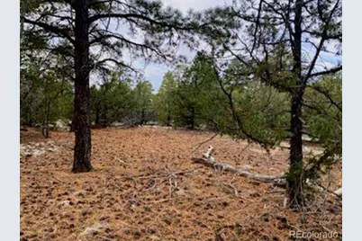 Costilla Place, Mosca, CO 81146 - Photo 11