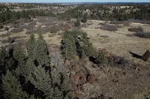 5695 Willow Creek Rd, Castle Rock, CO 80104 - Photo 37
