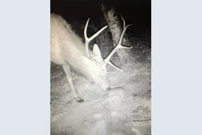 Forbes Rd, Fort Garland, CO 81133 - Photo 5