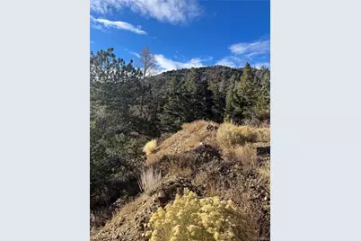 Forbes Rd, Fort Garland, CO 81133 - Photo 9