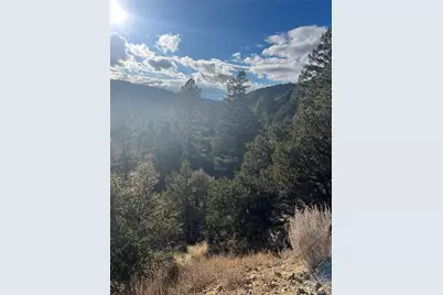 Forbes Rd, Fort Garland, CO 81133 - Photo 3