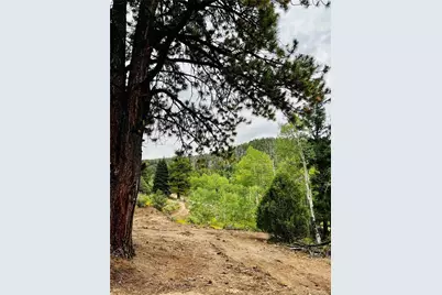 Forbes Rd, Fort Garland, CO 81133 - Photo 13