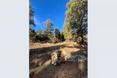 Forbes Rd, Fort Garland, CO 81133 - Photo 1