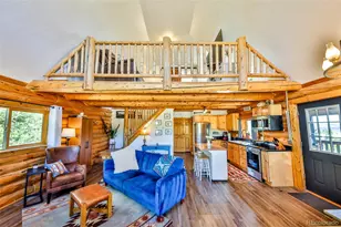 146 Co Rd 6524, Grand Lake, CO 80447 - Photo 3