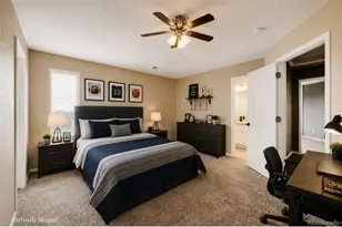 603 Cinnabar Ln, Castle Rock, CO 80108 - Photo 29