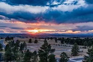 7953 Star Lily Ct, Parker, CO 80134 - Photo 23