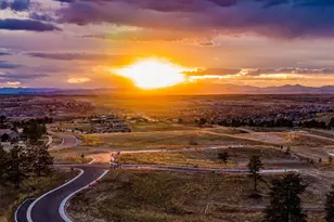 7953 Star Lily Ct, Parker, CO 80134 - Photo 11