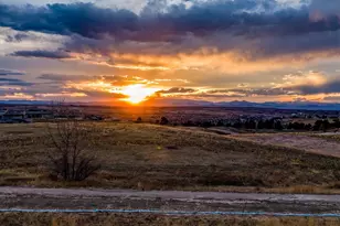 7953 Star Lily Ct, Parker, CO 80134 - Photo 17