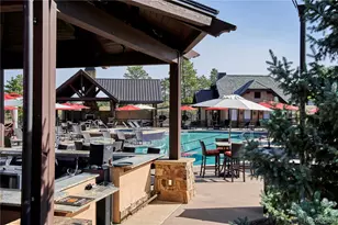 7953 Star Lily Ct, Parker, CO 80134 - Photo 41