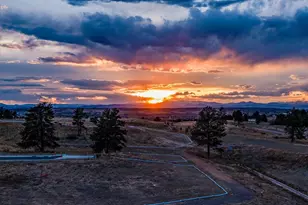 7953 Star Lily Ct, Parker, CO 80134 - Photo 27