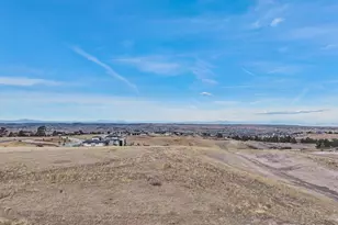 7953 Star Lily Ct, Parker, CO 80134 - Photo 31