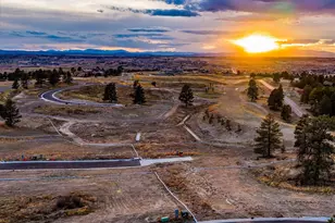 7953 Star Lily Ct, Parker, CO 80134 - Photo 9