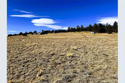 225 Wagon Wheel Road, Hartsel, CO 80449 - Photo 13