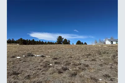 225 Wagon Wheel Road, Hartsel, CO 80449 - Photo 9