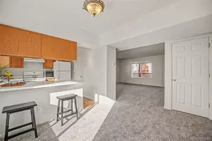 4220 E 119th Pl, Thornton, CO 80233 - Photo 11