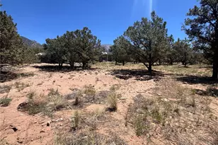 360 Camino Baca Grande, Crestone, CO 81131 - Photo 21