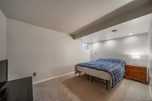 9240 Stargrass Cir, Highlands Ranch, CO 80126 - Photo 37