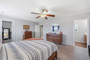 6205 Wescroft Ave, Castle Rock, CO 80104 - Photo 37