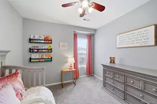 6205 Wescroft Ave, Castle Rock, CO 80104 - Photo 25