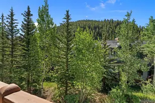 402 Wild Irishman Road, Keystone, CO 80435 - Photo 33