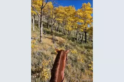 24870 US Hwy 285, Fairplay, CO 80440 - Photo 15