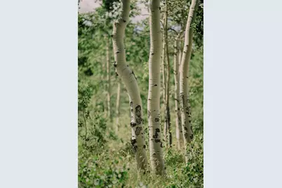 24870 US Hwy 285, Fairplay, CO 80440 - Photo 9