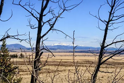 155 Lamb Mountain Road, Fairplay, CO 80440 - Photo 43