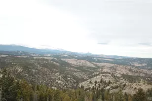 206 Wonder Trail, Golden, CO 80403 - Photo 13