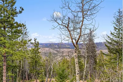 206 Wonder Trail, Golden, CO 80403 - Photo 3