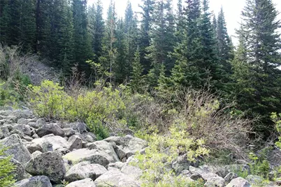 01 Miners Road, Idaho Springs, CO 80461 - Photo 9